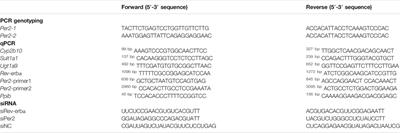 Period 2 Regulates CYP2B10 Expression and Activity in Mouse Liver